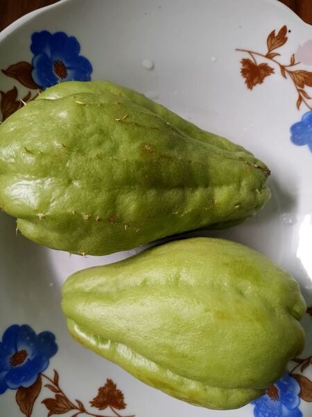 Chayote