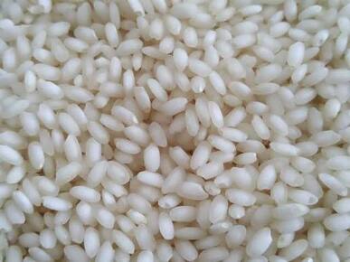 Rice Pawsan