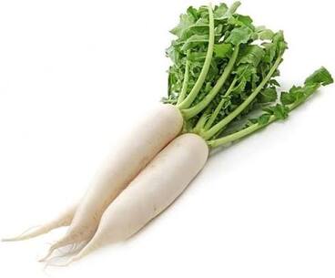 Radish
