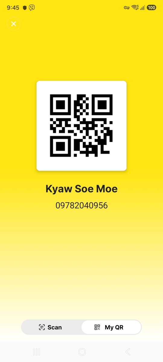 Wave Pay